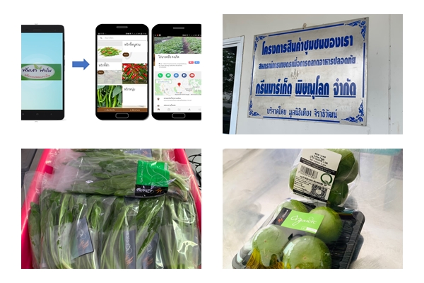 ภาพครงการประยุกต์ใช้โมบายแอปพลิเคชั่นรูปแบบดิจิทัลแพลตฟอร์มในการบริหารจัดการและตรวจสอบข้อมูลย้อนกลับ สำหรับกลุ่มวิสาหกิจการเกษตรสหกรณ์การเกษตรเพื่อการตลาดอาหารปลอดภัย กรีนมาร์เก็ต จ.พิษณุโลก
