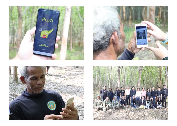 ภาพโครงการประยุกต์ใช้เทคโนโลยีเพื่อการแจ้งเตือนภัยช้างป่า