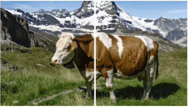 Figure 4: Comparison of SynthID Watermarked (Left) and Non-Watermarked (Right) Images