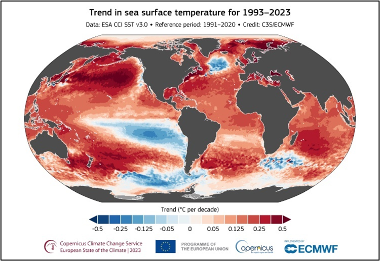 ภาพประกอบที่ 4 Sea Surface Temperature: SS